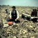 Filastine “Colony Collapse” clip
