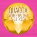 Quagga (Single) by Daniele Baldelli & DJ Rocca