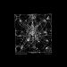 Kapoor & Hvitling – Vox Diaboli by AKUMANDRA