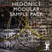 RS INTL Sample Pack VIII: Eurorack Modular by Hedonics by Hedonics