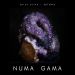 Botanas: Numa Gama by Numa Gama