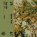 Flight Club №34 — Isabeau Fort