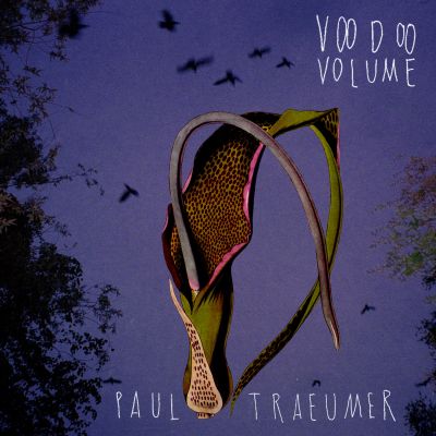 Voodoo Volume by Paul Traeumer