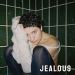 Jealous by Julie Pavon