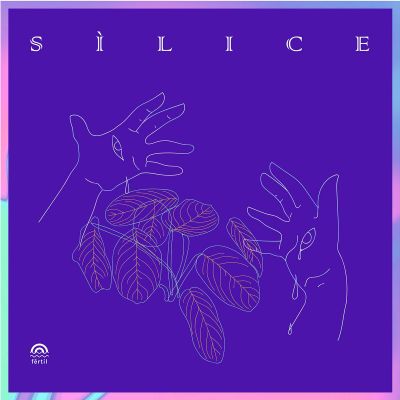 SILICE. Un compilado de productores mujeres cis, trans y no binaries. by Fértil Discos