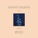 The Sound Of Love International 003 – Shanti Celeste by Various Artists