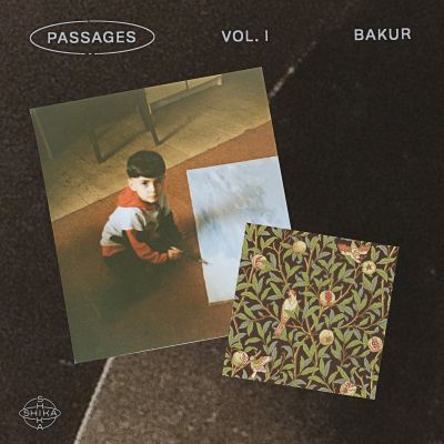 Passages Vol​.​1: Bakur by Bakur