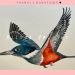 Vuela Corazon  |Mix| by Magic Vibes ● Mose ● Quantic ● Caetano Veloso ● Polo & Pan ●Ecstatic Dance