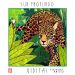 Viditai Feat. Anicca by Sur Profundo