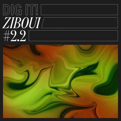 Ziboui – #2​.​2 by Dig It by CMR