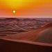 Leo Sagrado & Shrii – Silk (Camel)