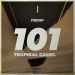 Folcore 101 – Selected by Tropikal Camel by VV.AA.