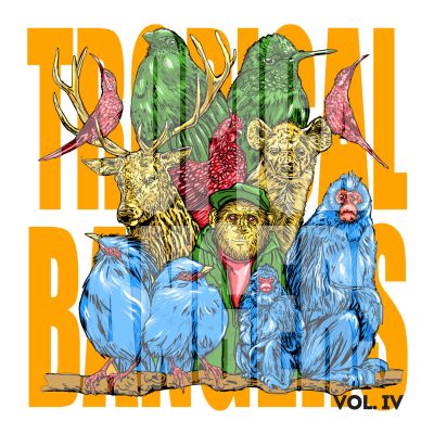 Tropical Bangers Vol​.​IV by Various Artists