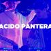 Acido Pantera • DJ Set from Bogota • Le Mellotron