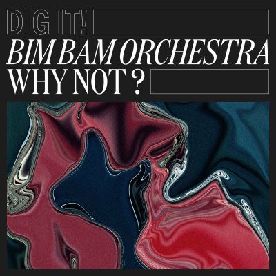 Bim Bam Orchestra – Why Not? by Dig It by CMR