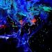 It Rises All Nectar “Seven Seas” feat. Ivana Mer [SK]