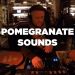 Pomegranate Sounds • DJ Set • Le Mellotron