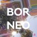 Borneo by Yoyoyo (Pre Order)