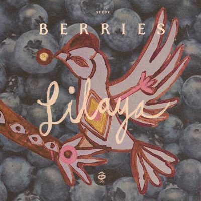 Berries by Lilaya