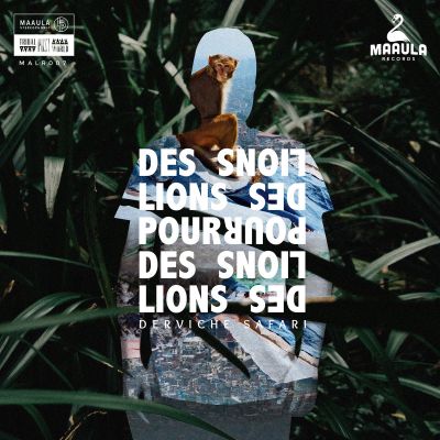 Derviche Safari by Des Lions Pour Des Lions
