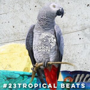 TNP23 - TROPICAL BEATS by Tropical North Podcast
