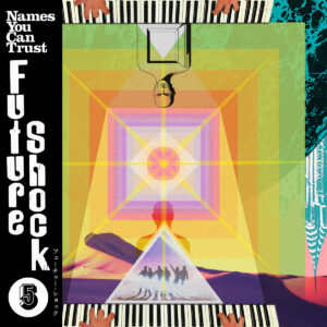 Future Shock - Volume 5 by Names You Can Trust