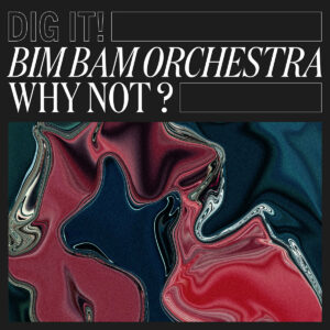 Bim-Bam-Orchestra-Why-Not