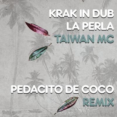 Pedacito De Coco Remix (feat. Taiwan MC & La Perla) by KRAK IN DUB