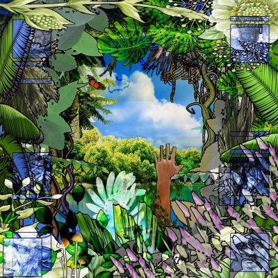 Jornada Selvagem by psilosamples