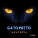 Gato Preto – tpmFree001 by mandruvá