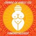 Friends of Kybele 055 // Funkenschleuder
