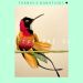 Liberación  |Mix| by EL Búho ● Chancha Via Circuito ● Eat My Butterfly ● Heimlich