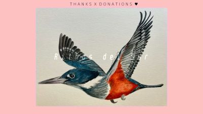 Vuela Corazon  |Mix| by Magic Vibes ● Mose ● Quantic ● Caetano Veloso ● Polo & Pan ●Ecstatic Dance