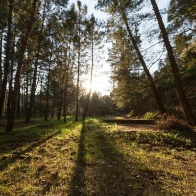 L’A Primaveral: Opening set KOP stage by eFonik