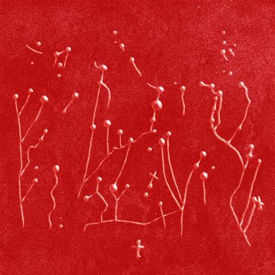 Baiuca – Embruxo Reworks by Baiuca