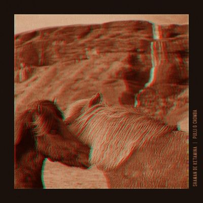 Pulli & Chomba – Shaman de Ketamina