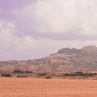 Macelada by Tempura, Edgar Valente